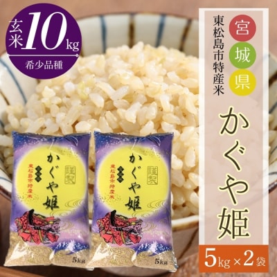 【令和7年産】 新米 宮城県産 超稀少品種 かぐや姫 玄米 10kg 宮城県 東松島市 天授のお米 