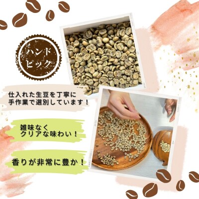 ドリップバッグコーヒー 自家焙煎 アソートセット 合計 20袋 (5種×各4袋) コーヒー B