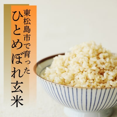 【令和7年産】【新米】 ひとめぼれ 玄米 20kg × 1袋 宮城県産東松島市農家直送 
