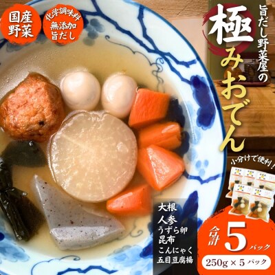 だし染み おでん 6種入 合計 5袋 ( 250g × 5袋)国産野菜 レトルト