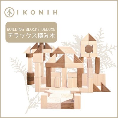 桧のおもちゃ　IKONIH　Buildind Blocks DX　アイコニー　デラックス積み木