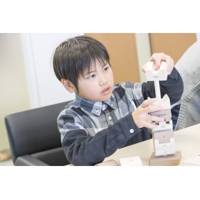 桧のおもちゃ　 IKONIH　Educational Set アイコニー　知育セット