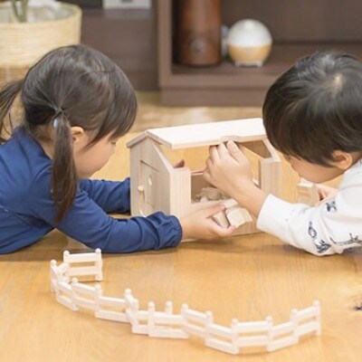 桧のおもちゃ  IKONIH　Ikonih House　アイコニー　アイコニ―ハウス