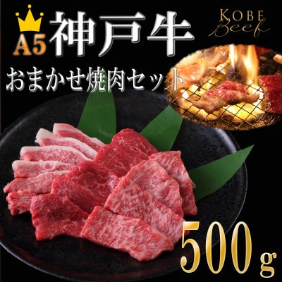【A5神戸牛】焼肉おまかせセット 500g(霜降り・赤身・カルビ )