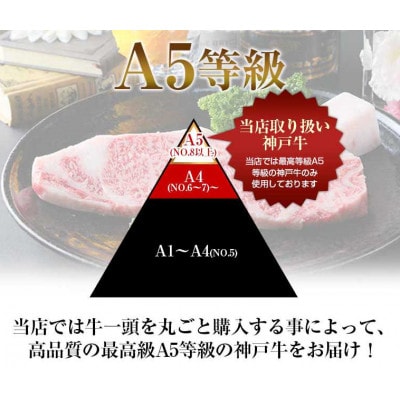 【A5神戸牛】焼肉おまかせセット 500g(霜降り・赤身・カルビ )