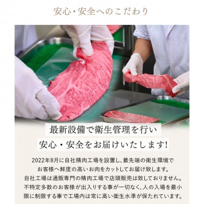 A5等級神戸ビーフ すき焼き用 3種食べ比べセット　500g　[神戸牛専門店 神戸ぐりる工房]