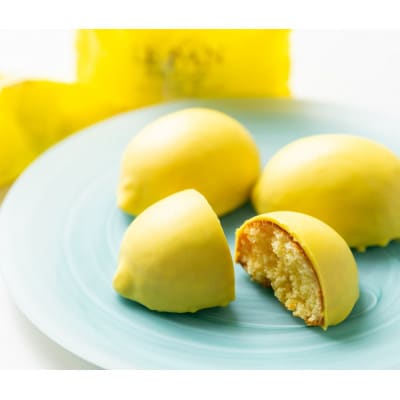 「日本ギフト大賞2021 兵庫賞」受賞　瀬戸内レモンケーキ 6個入