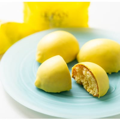 ル・パン神戸北野の瀬戸内レモンケーキ 10個入