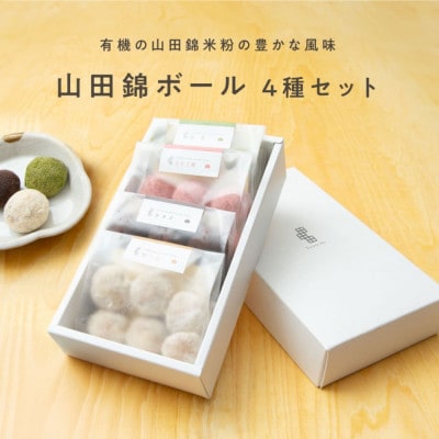 グルテンフリー 米粉スイーツ 山田錦ボール 【箱入り4種アソート(和三盆/カカオ/抹茶/えちご姫)】