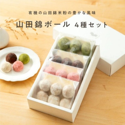 グルテンフリー 米粉スイーツ 山田錦ボール 【箱入り4種アソート(和三盆/カカオ/抹茶/えちご姫)】