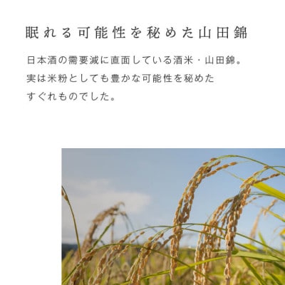 米粉のスイーツ 山田錦サブレ 【箱入り4種アソート(黒胡椒/トマト/ターメリック/ピスタチオ)】