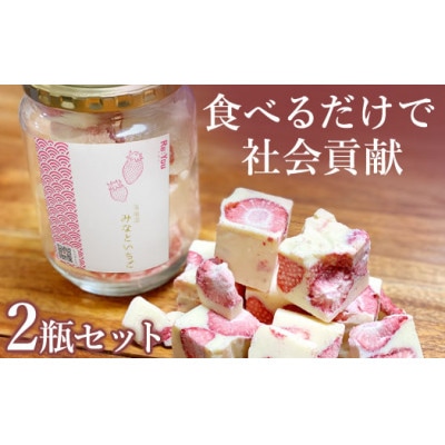ふぞろいごろごろ「Re:Youみなといちご」(220g入りチョコレート×2)
