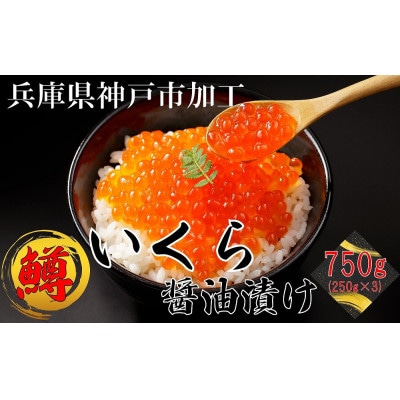 鱒いくら醤油漬け750g(250g×3)小分けパック