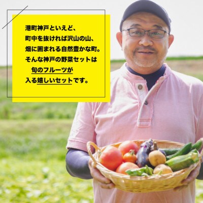 神戸のお野菜詰め合わせセット(季節のフルーツ1種類入)