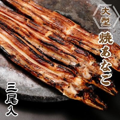 大型焼あなご 3尾