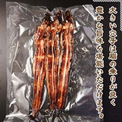 大型焼あなご 3尾