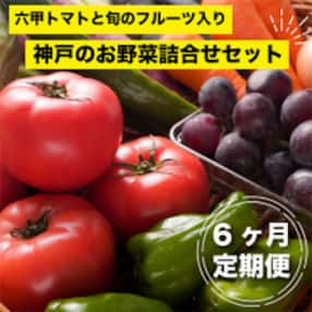 【毎月定期便】神戸のお野菜詰め合わせセット(六甲トマトと季節のフルーツ入)6ヶ月定期便全6回