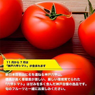 2023年9月発送開始『定期便』神戸のお野菜詰め合わせセット(季節のフルーツ入)6ヶ月　全6回