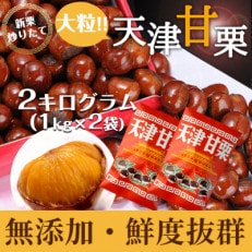 無添加 大粒天津甘栗 2kg | ふるさと納税のお礼品