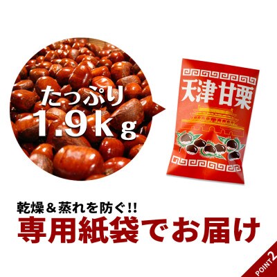無添加 大粒天津甘栗 1.9kg