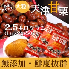 無添加 大粒天津甘栗 2.5kg