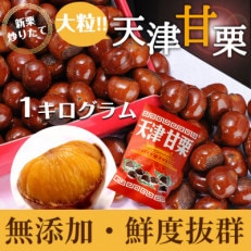 無添加 大粒天津甘栗 1kg