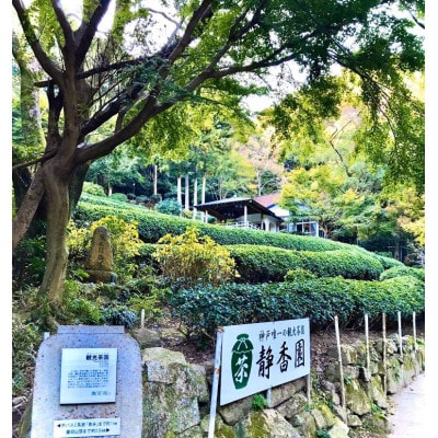 神戸静香園 お茶のお酒 300ml