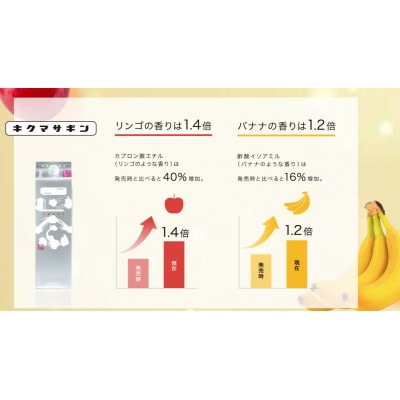 菊正宗 しぼりたてギンパック　900mlパック × 6本