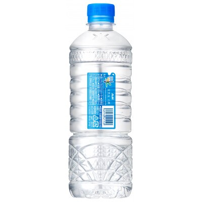 【毎月定期便】【3ヶ月】アサヒ 天然水六甲 ecoラベル585ml×24本(24本入1ケース)全3回