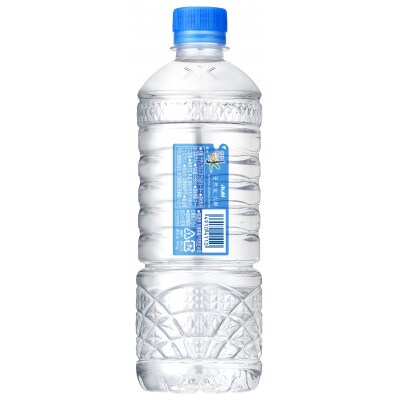 【毎月定期便】【6ヶ月】アサヒ 天然水六甲 ecoラベル585ml×48本(24本入2ケース)全6回
