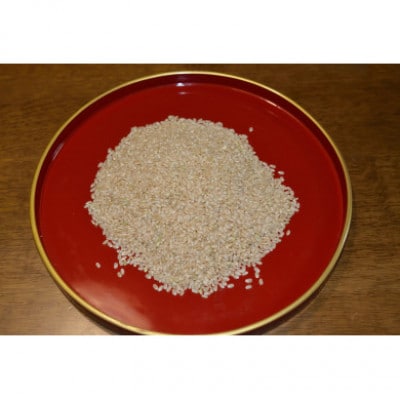 兵庫県神戸市産・令和7年米「コシヒカリ」玄米 5kg