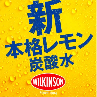 アサヒ飲料 ウィルキンソン タンサン レモン　500mlペットボトル×48本(24本×2箱)