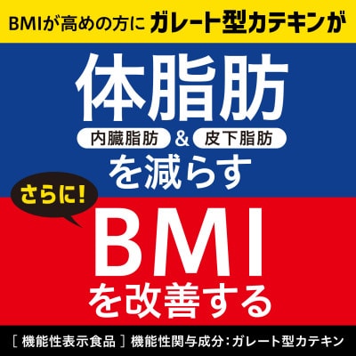 【機能性表示食品】 お～いお茶　濃い茶1L×2ケース(24本)