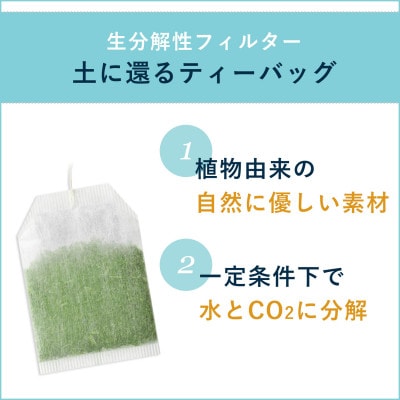 お～いお茶エコティーバッグ 緑茶　1ケース(20袋×10箱)
