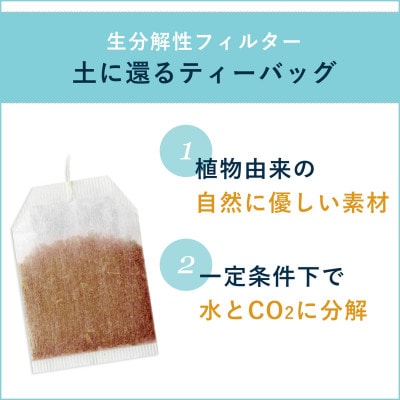 お～いお茶エコティーバッグ ほうじ茶　1ケース(20袋×10箱)