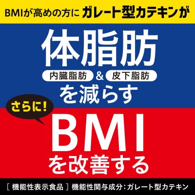 【機能性表示食品】 お～いお茶濃い茶プレミアムティーバッグ 　2ケース(20袋×16箱)