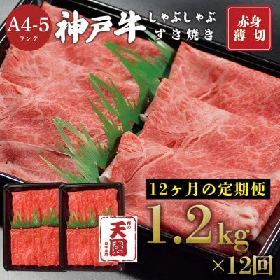 【毎月定期便】【ふるさと納税】神戸牛 赤身 モモ しゃぶしゃぶすき焼き1200g×全12回
