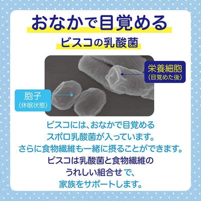 【最短当日発送】ビスコ 大袋＜発酵バター仕立て＞アソートパック 1セット(16パック入×12袋)