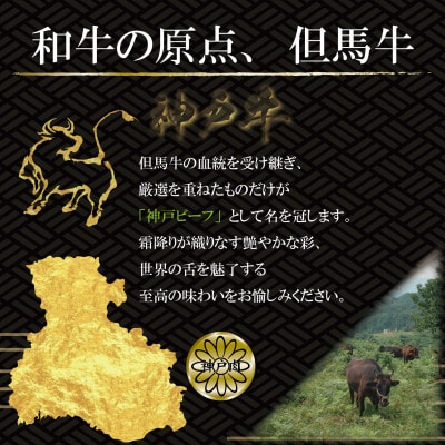 訳あり 神戸牛(神戸ビーフ)切り落とし肉 400g KBS1