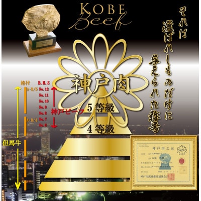 訳あり 神戸牛(神戸ビーフ)切り落とし肉 400g×2 計800g KBS2S