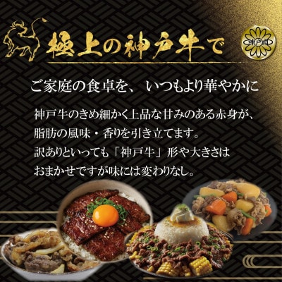 訳あり 神戸牛(神戸ビーフ)切り落とし肉・焼肉用(不揃い)400gずつ 計800g KBSY2