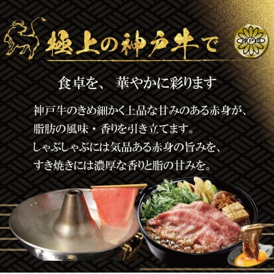 神戸牛(神戸ビーフ) しゃぶしゃぶ・すき焼き用 500g KBS2