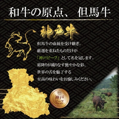 神戸ビーフ サーロイン&赤身 ステーキセット 計800g KBST8