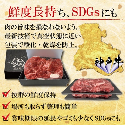 神戸ビーフ サーロイン&赤身 ステーキセット 計1200g KBST12
