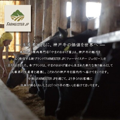 FU002【うすなが牧場】神戸牛ブリスケスライス500g