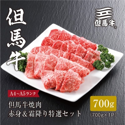 FH03《但馬牛》焼肉 赤身&霜降り 特選セット700g