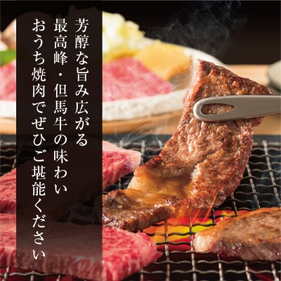 FH03《但馬牛》焼肉 赤身&霜降り 特選セット700g