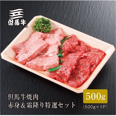 FH02《但馬牛》焼肉 赤身&霜降り 特選セット500g【1313161】