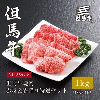 FH04《但馬牛》焼肉 赤身&霜降り 特選セット1kg【1313387】