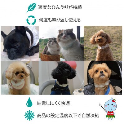 SUO 18°ICE for dogs CANDY　SSサイズ(マルチ)